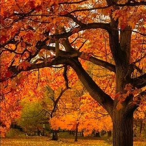 Meet your Posher, Italy